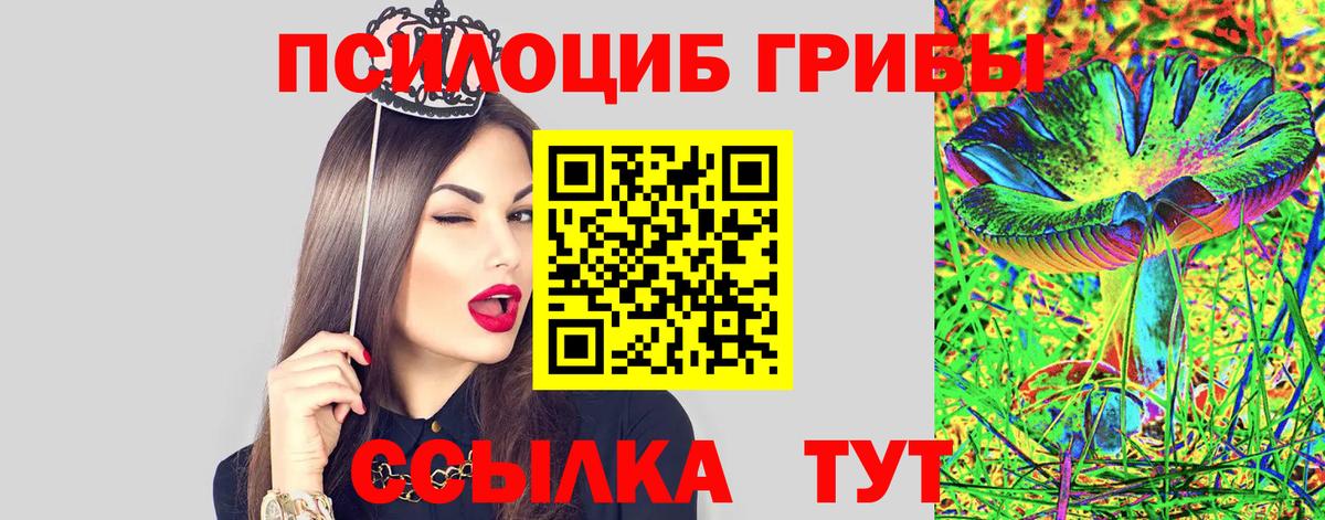 Гатчина  Галлюциногенные грибы MAGIC MUSHROOMS  Вход с VPN 